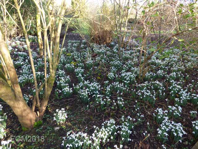 January 2018 017.jpg