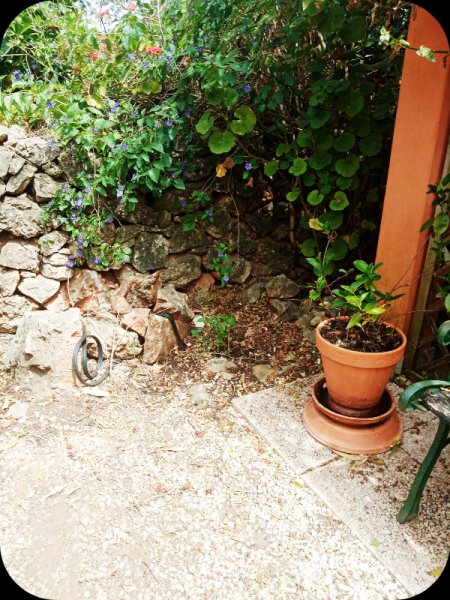 Jasmin Philly 6 Jun 24.jpg