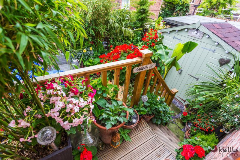 july 2015 6 (1 of 1).jpg