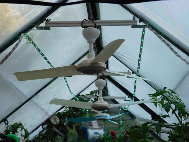 July 2016 (7)(1).JPG