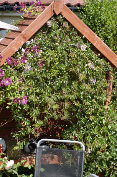 junejuly20125 (64) - Copy.JPG