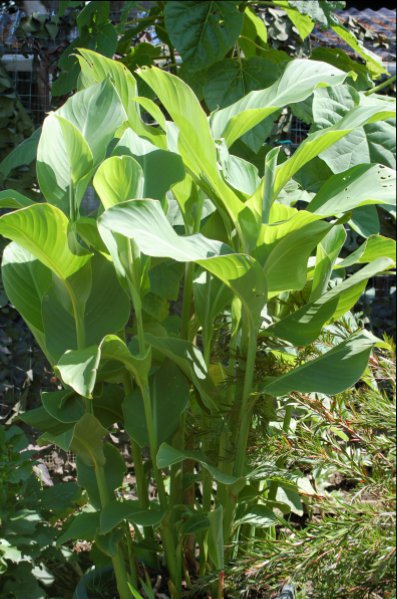 junejuly20125 (76).JPG