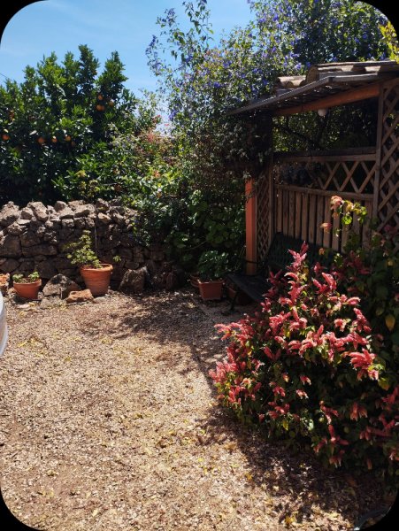 Jungle Room 12 May 24.jpg