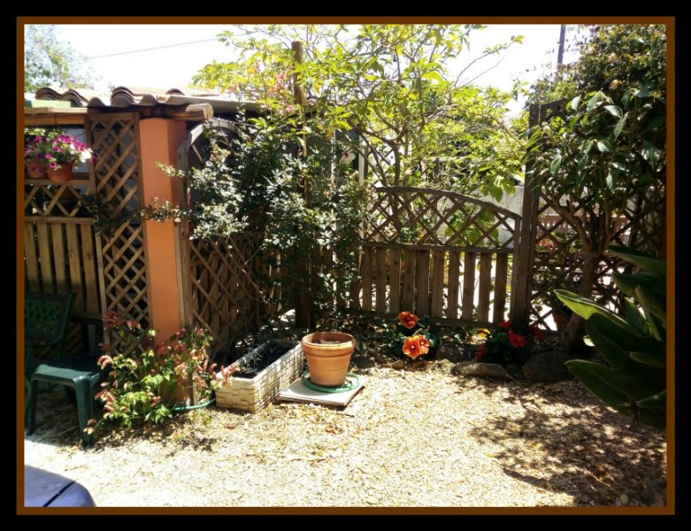 Jungle Room 25 Jun.jpg