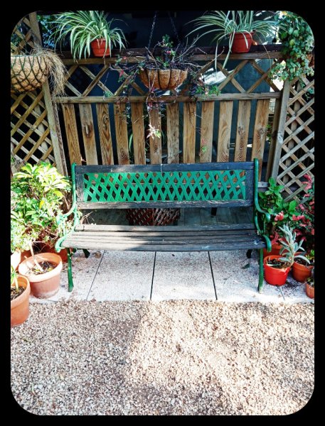 Jungle Room Bench 1 Jun 21.jpg