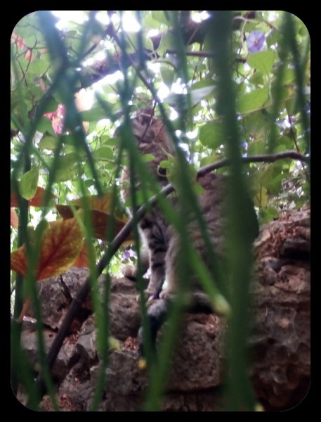 Jungle Room Munch 13 Sept 21.jpg