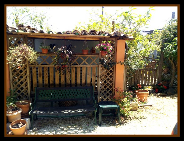 Jungle Room2 25 Jun.jpg