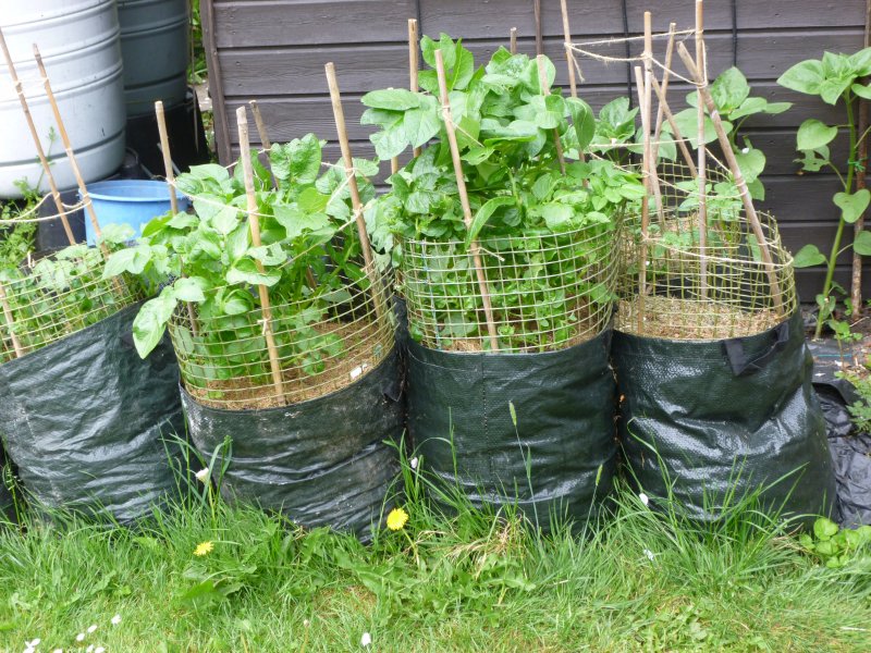 KEEPING POTS IN PLACE.JPG