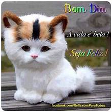 Kitten Morning 1.jpeg