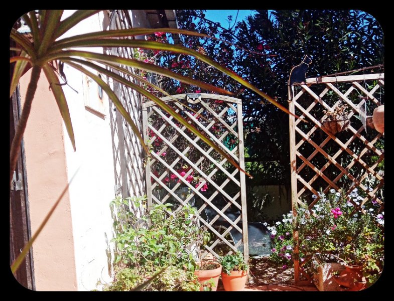 Kitty Korner 14 Apr 22.jpg