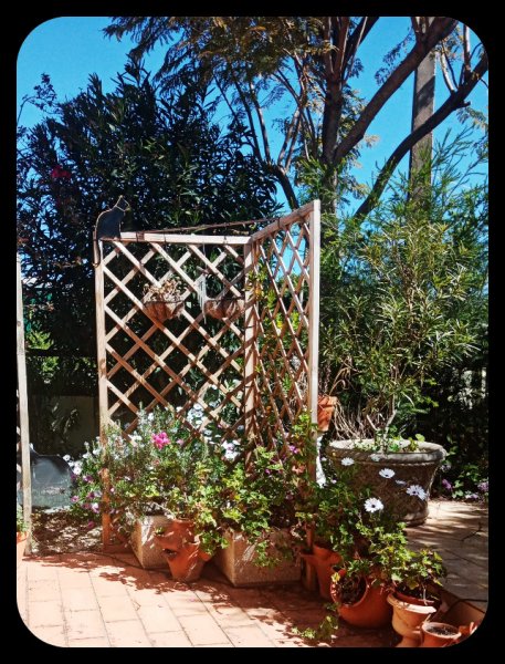 Kitty Korner2 14 Apr 22.jpg