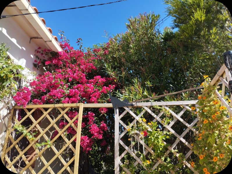 KKK Bougie 15 May 25.jpg