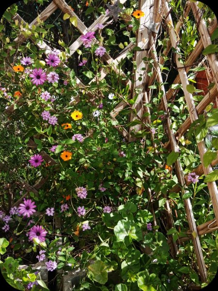 KKK Corner 17 Apr 24.jpg