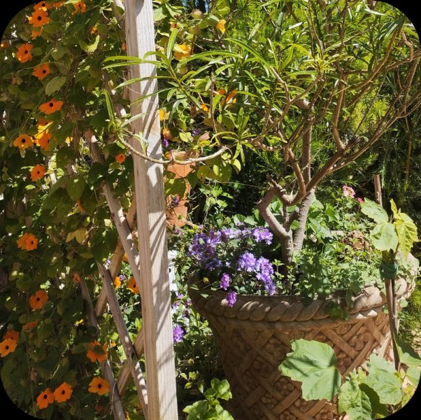 KKK & Poys2 21 Apr 25.jpg