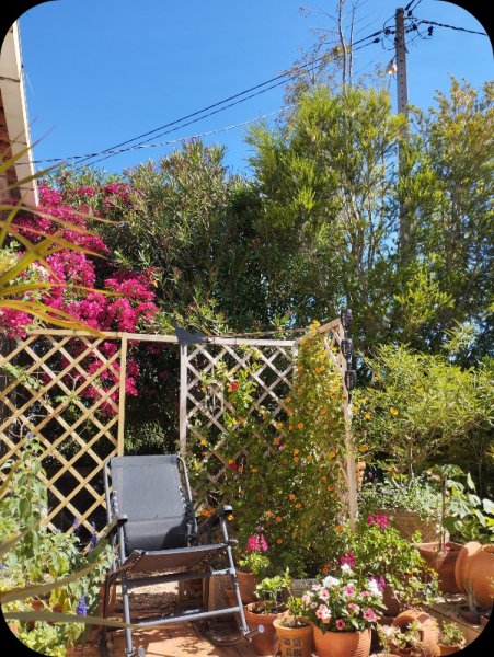 KKK Trellis 16 May 25.jpg