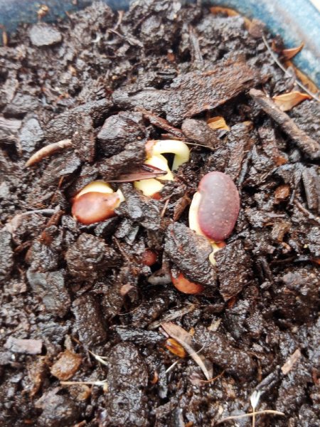 LabLab 31 May 22.jpg