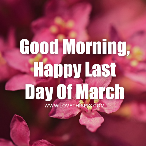 Last day of march.png
