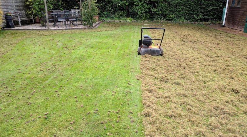 lawn-renovation-newtownabbey..jpg