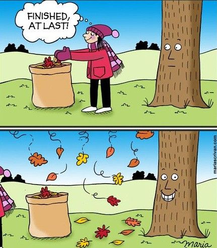 Leaf Fall.jpg