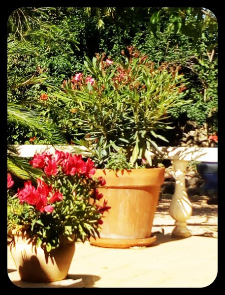 Leamder 26 May 21.jpg