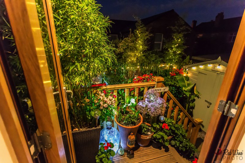 lights new (1 of 1).jpg