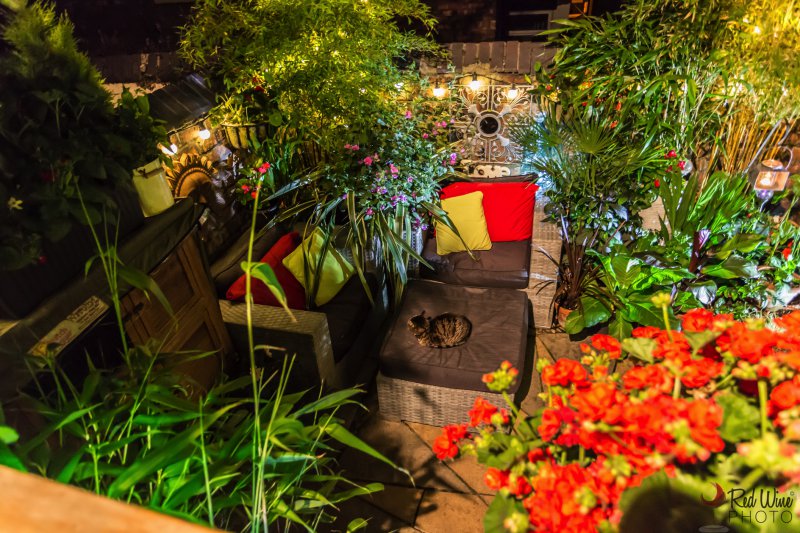 lights new2 (1 of 1).jpg