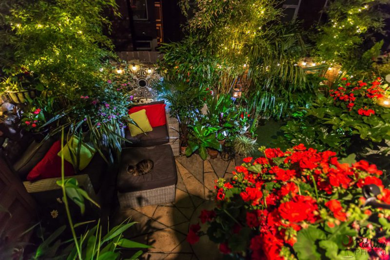 lights new3 (1 of 1).jpg