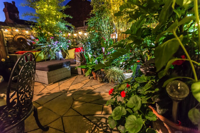 lights new4 (1 of 1).jpg