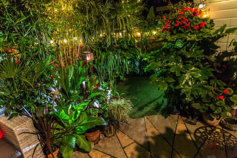 lights new5 (1 of 1).jpg