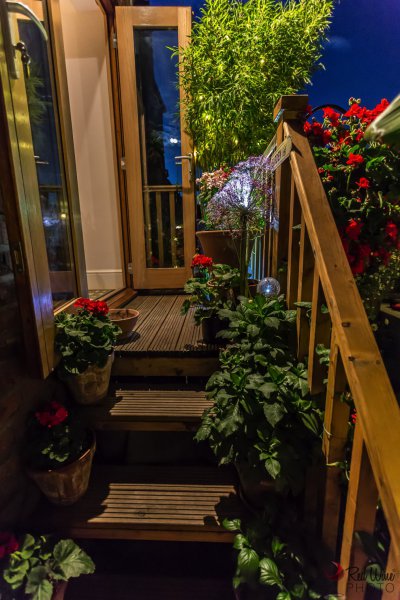 lights new6 (1 of 1).jpg