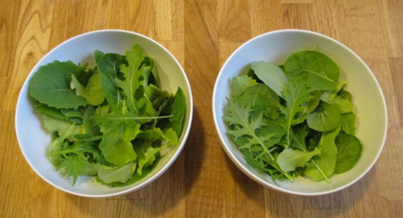 Little bowls of salad.JPG