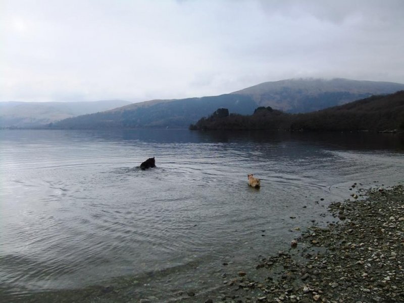 Loch Lomond.jpg