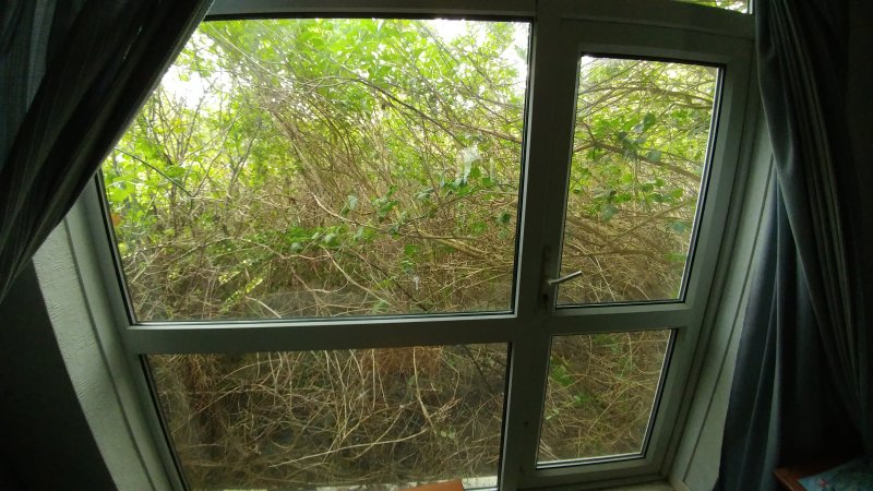 Lounge to rear garden.jpg