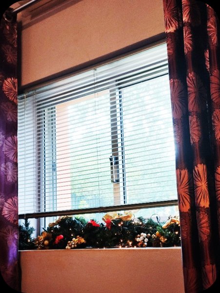 Lounge wIndow Christmas 6 Dec 25.jpg