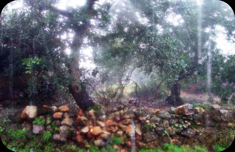 Lounge Window in Rain.jpg