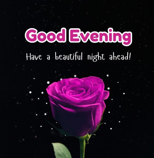 Love good evening.jpg