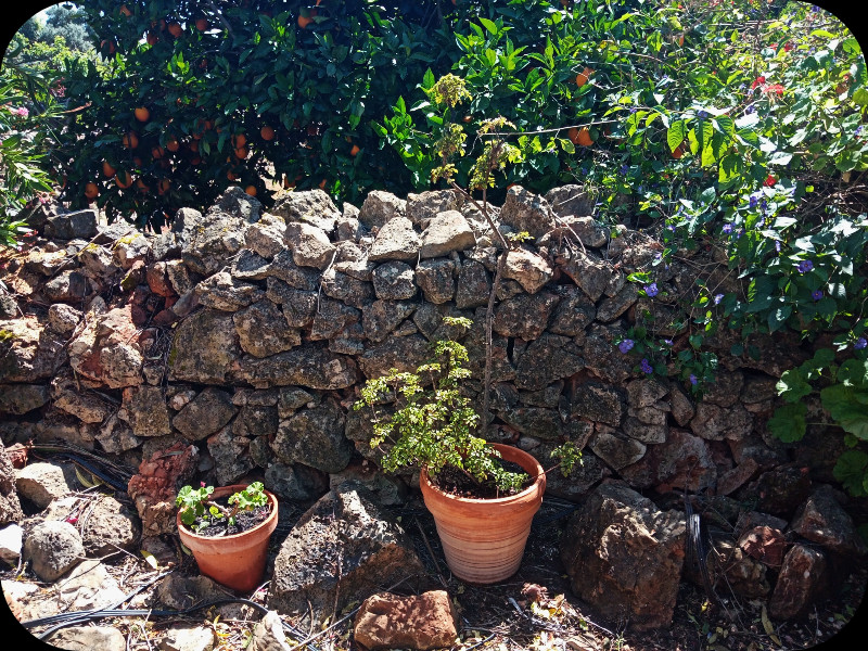 Lower Border1 12 May 24.jpg