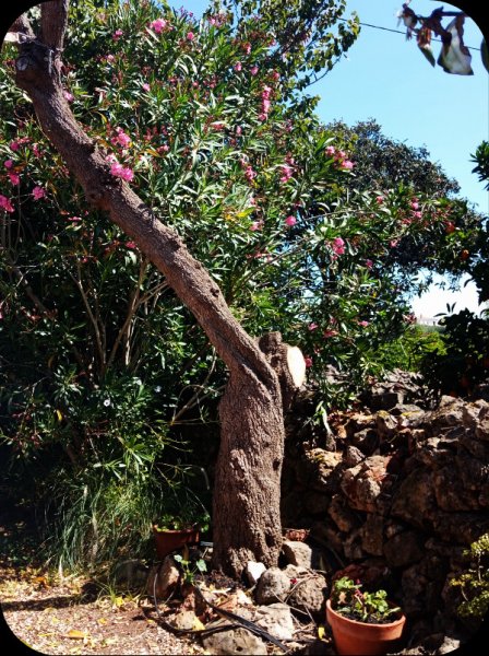 Lower Border2 12 May 24.jpg