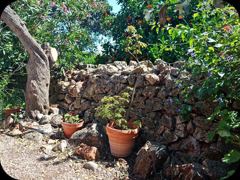 Lower Border3 12 May 24.jpg