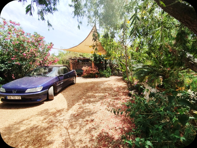 Lower from Gate 9 Jun 25.jpg