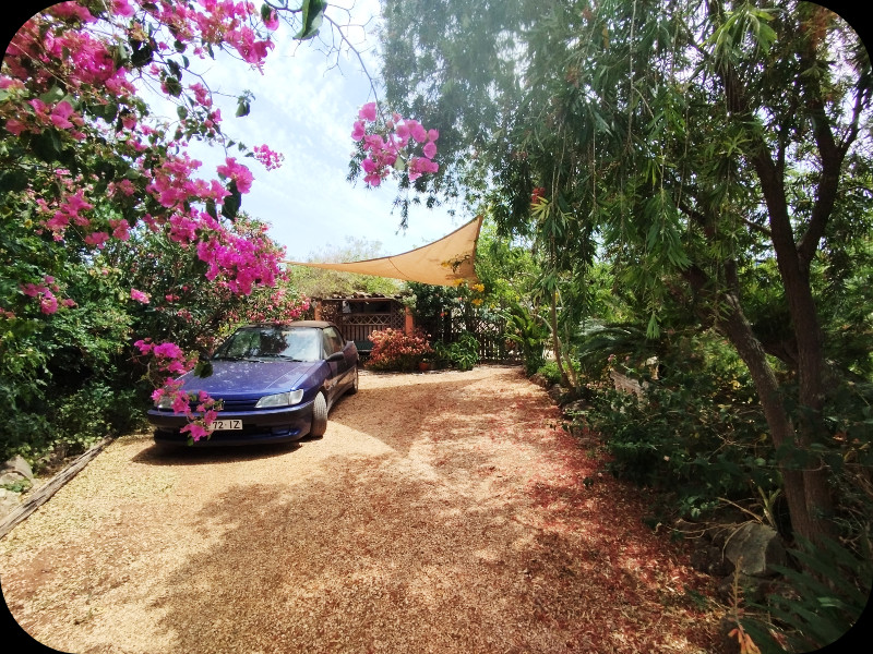 Lower Garden 9 Jun 25.jpg