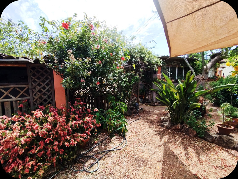 Lower Garden1 9 Jun 25.jpg