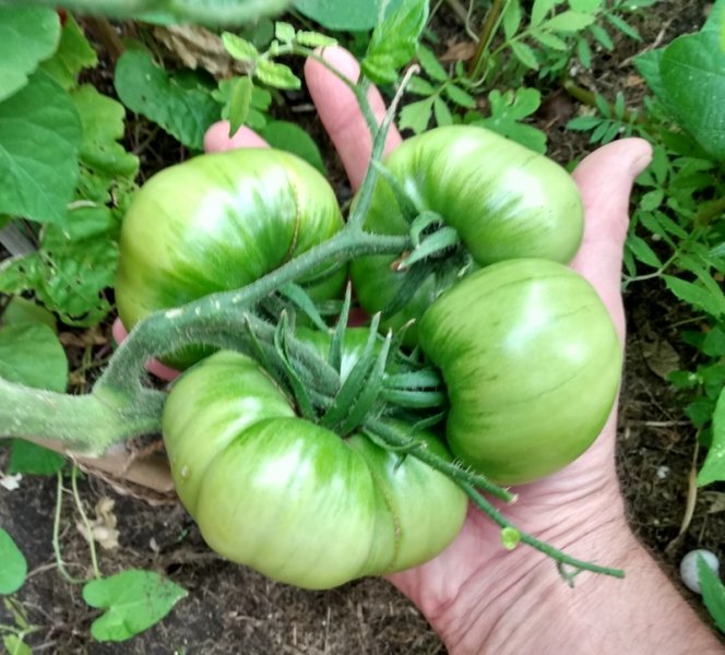 Malachite Box 2-01.jpeg