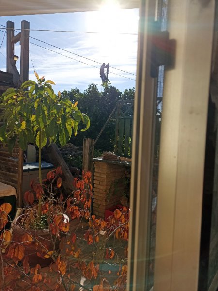 Man up Pole 25 Oct 21.jpg