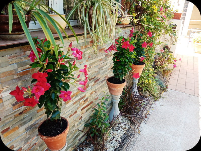Mandy in Pots4 18 May 24.jpg