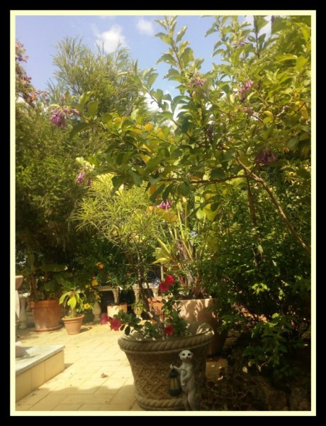 Mandy & Nicholas 12 Jun.jpg