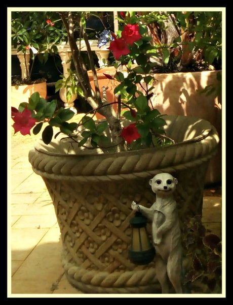 Mandy & Nicholas2 12 Jun.jpg