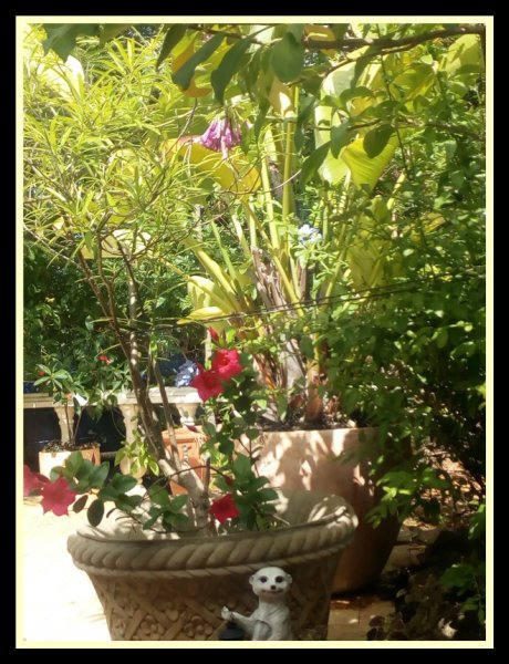 Mandy & Nicholas3 12 Jun.jpg