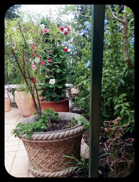 Mandy Tri 13 Sep 21.jpg