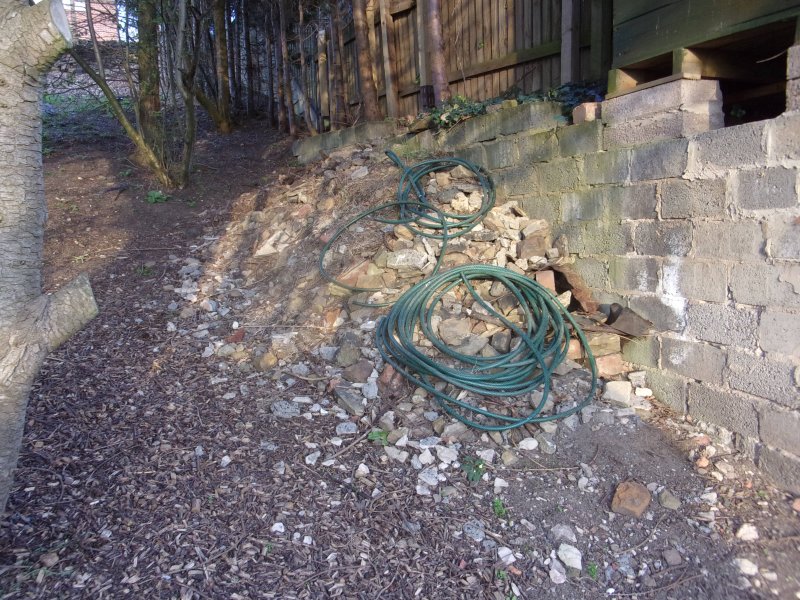 March 31  2021 (18).JPG